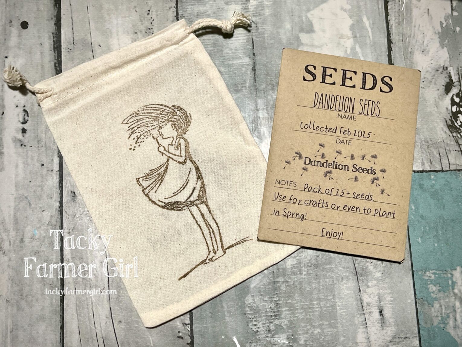 Dandelion Seeds with Wisps, for Growing & Planting, Crafting - Image 2