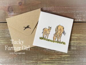 Watercolor Horse Note Cards 6-Pack – Handmade, Blank (3"x3")